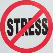 Stresul prelungit duce la micşorarea creierului